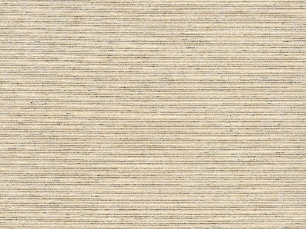 multiplex Birke if 6792.jpg
